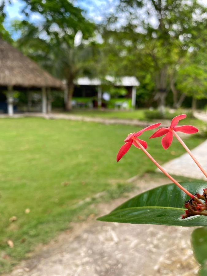 Eco Hotel Bosque Encantado Isla Grande  Buitenkant foto