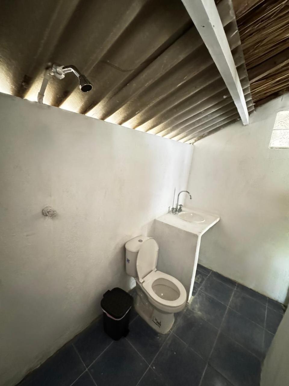 Eco Hotel Bosque Encantado Isla Grande  Buitenkant foto